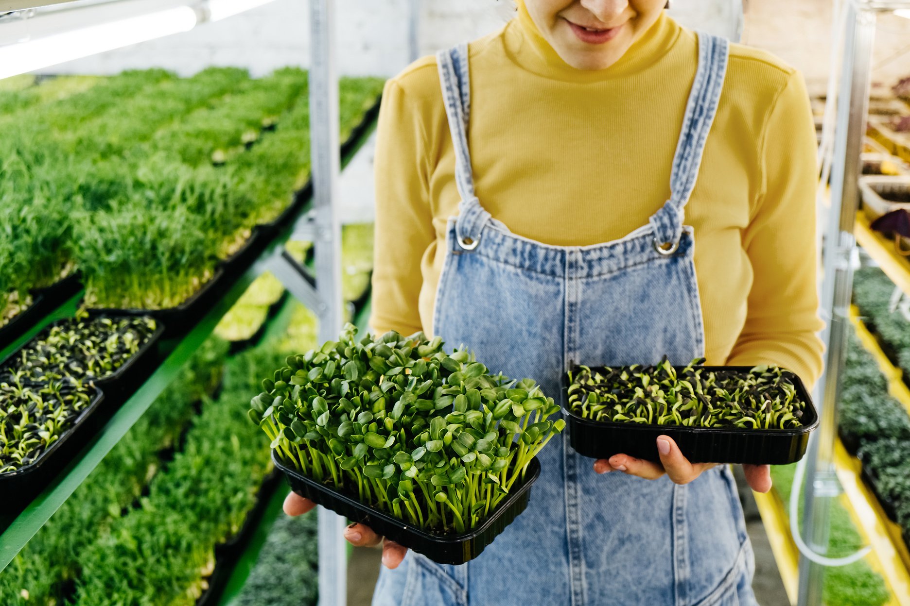 Woman Holding Microgreens